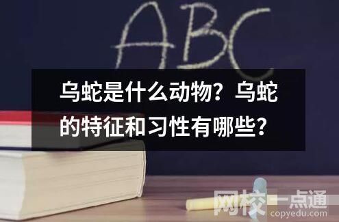 乌蛇是什么动物？乌蛇的特征和习性有哪些？